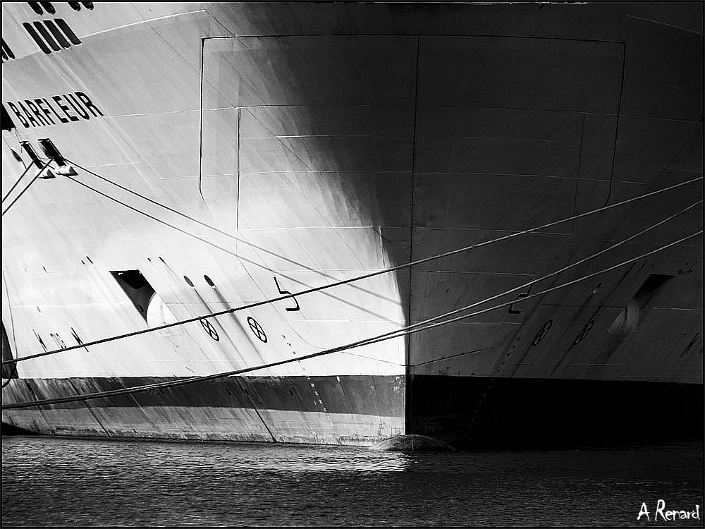 2011 1217image0016 nb 1