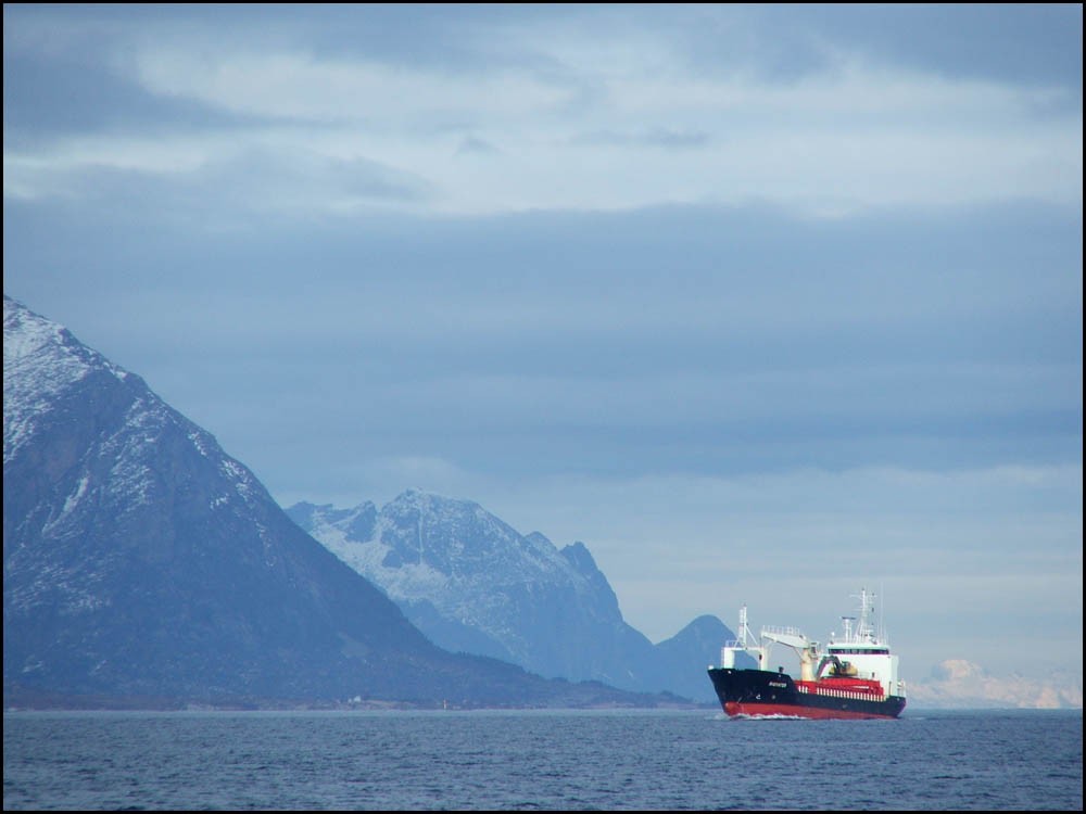 Cargo dans les fjords