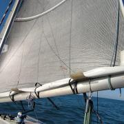 Img 20221113 110352